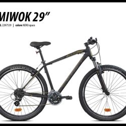 MIWOK 29